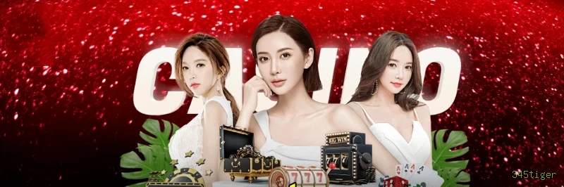 345tiger: Descubra a Seção Console e Seus Recursos Imperdíveis